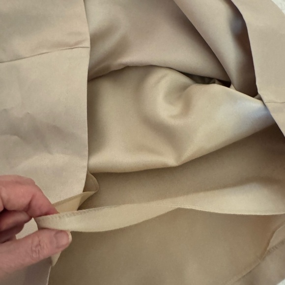 Backless Adrianna Papell, champagne, formal dress. Gorgeous. size 12 - Picture 10 of 16